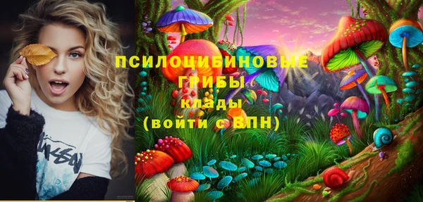 не бодяженный Аркадак